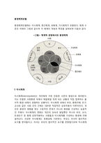 환경체계모델 레포트-2