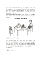 피아제의 인지발달이론-8