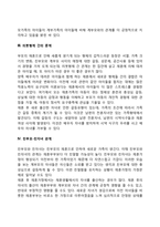 재혼가정(재혼가족) 아동의 적응 문제-3