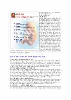 여성흡연에 대해-5
