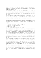 [스페인영화감상문] 이투마마(Y Tu Mama Tambien) 감상문-2