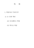 [라틴아메리카] 20세기중남미혁명(칠레,아르헨티나,멕시코)-2