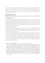 [중남미사회] 수입대체산업화에 대해서-9
