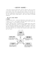 [인적자원관리] 우수보상제도 운영사례-19