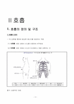 [간호학] 맥박과 호흡-14