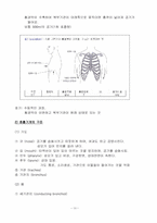 [간호학] 맥박과 호흡-15