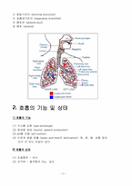 [간호학] 맥박과 호흡-16
