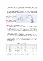 [기본간호학] 활력징후 - 혈압-7