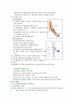 [기본간호학] 활력징후 - 혈압-12