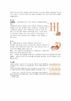 [간호학] 배변의 영향요인-4