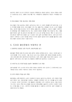 [영상문화]드라마폐인문화 및 그 영향력에 대한 연구-12