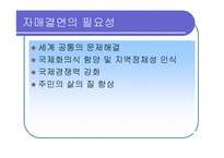 [지방자치론]지방자치단체의 국제교류사업-2