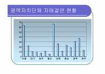 [지방자치론]지방자치단체의 국제교류사업-5