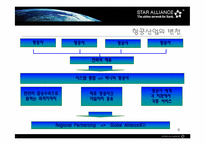 [국제경영] StarAlliance전략적제휴 사례분석-9
