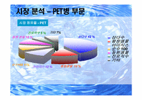 [마케팅전략] 프리미엄`제주삼다수` 마케팅전략수립-6