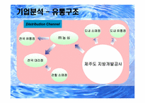 [마케팅전략] 프리미엄`제주삼다수` 마케팅전략수립-10