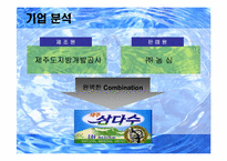 [마케팅전략] 프리미엄`제주삼다수` 마케팅전략수립-11