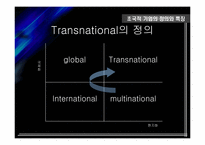 [국제경영] 초 국적기업으로서의 BP Amoco 조직분석-3
