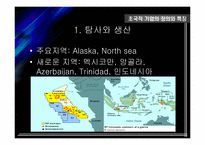 [국제경영] 초 국적기업으로서의 BP Amoco 조직분석-9