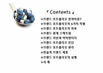 [마케팅관리] 브랜드포트폴리오전략-2