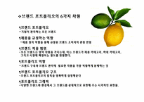 [마케팅관리] 브랜드포트폴리오전략-4