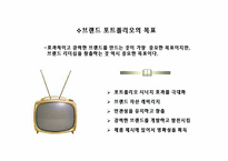 [마케팅관리] 브랜드포트폴리오전략-5