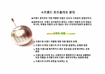 [마케팅관리] 브랜드포트폴리오전략-10