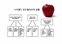 [마케팅관리] 브랜드포트폴리오전략-12