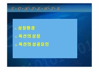 [인터넷비즈니스] 옥션의 전략과 성공요인-2