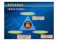 [인터넷비즈니스] 옥션의 전략과 성공요인-13