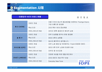 [마케팅] segmentation 세그멘테이션사례-10