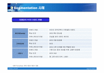 [마케팅] segmentation 세그멘테이션사례-12