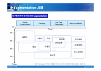 [마케팅] segmentation 세그멘테이션사례-13