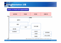[마케팅] segmentation 세그멘테이션사례-14