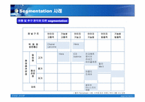 [마케팅] segmentation 세그멘테이션사례-16