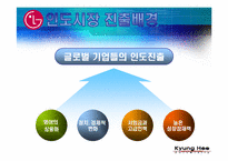 [국제마케팅성공사례] LG전자 인도마케팅성공사례-10