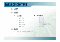 인터넷커뮤니티사이트의 성공과 실패사례 -프리챌과 싸이월드-2