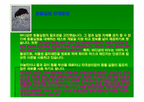 [마케팅전략] 바디샵 그린마케팅전략분석-14