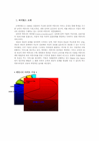 싸이월드의 마케팅-1