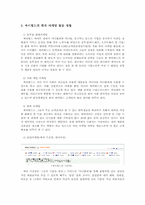 싸이월드의 마케팅-2