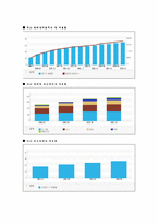 [인터넷마비즈니스] DAUM(다음)의 기업분석-3