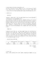 [인터넷마비즈니스] DAUM(다음)의 기업분석-13