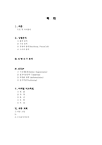 [사업계획서] 웰빙미용전문사이트-1