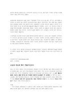 [사업계획서] 웰빙미용전문사이트-13