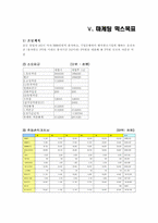 [사업계획서] 웰빙미용전문사이트-20