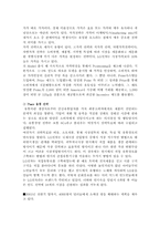 [글로벌경영] LG전자의 인도시장 현지화전략-12