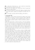 [글로벌경영] LG전자의 인도시장 현지화전략-13
