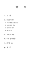 [마케팅전략] 속옷 마케팅전략-1