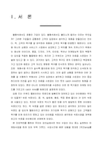 [마케팅전략] 속옷 마케팅전략-2