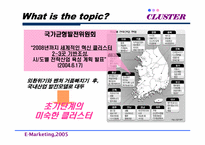 [마케팅] 국내 클러스터의 오늘과 내일-3